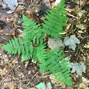 Meet your Posher, Missy